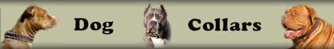 dog collar