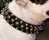 spiked collar-studs collar