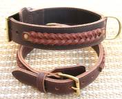 designer dog collar