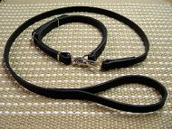 dog leash and dog collar