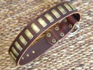 leather dog collar