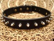 leather spiked dog collar