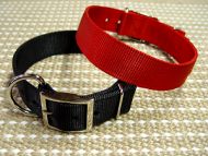 nylon dog collar