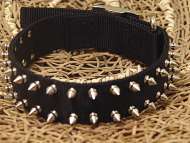 nylon spiked dog collar