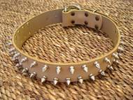 spiked dog collar