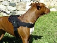 nylon dog harness pitt bull