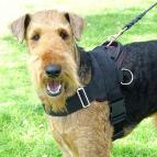 nylon tracking dog harness