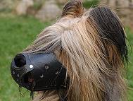 briard leather dog muzzle