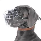 great dane muzzle wire dog