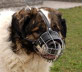 shepherd dog muzzle