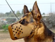 leather dog muzzle