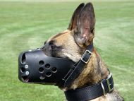leather dog muzzle nylon dog collar