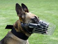 wire dog muzzle nylon dog collar