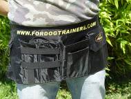 Dog training equipment 